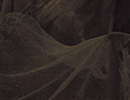 Nachtschatten_2.jpg