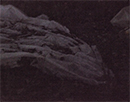 Nachtschatten_4.jpg