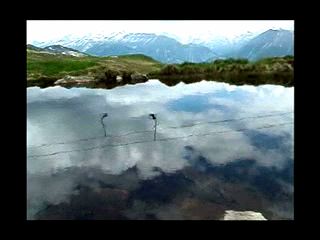 it's cool in the lake