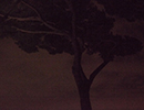 roman_night_04.jpg